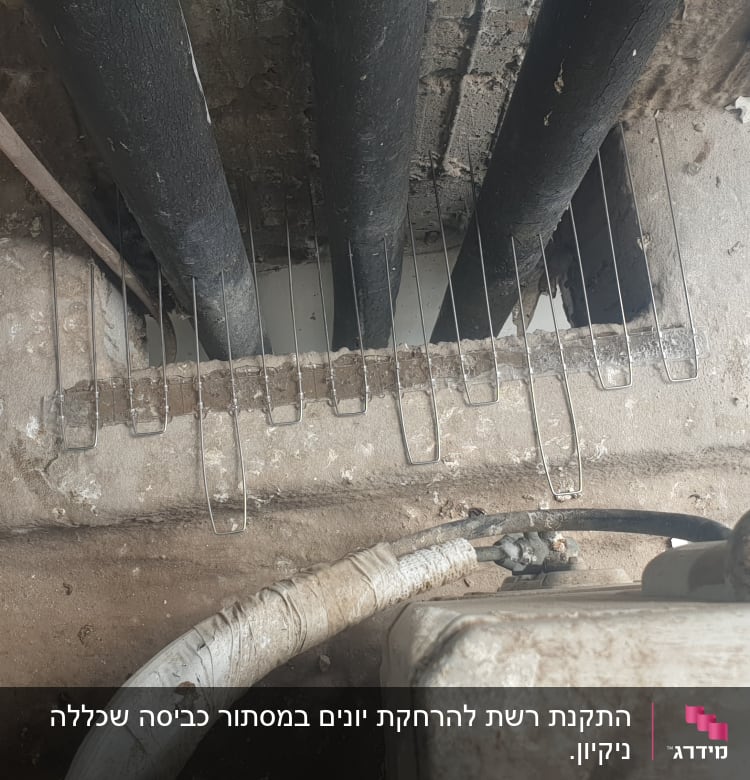 רשת מתכת למניעת כניסת יונים בין צינורות
